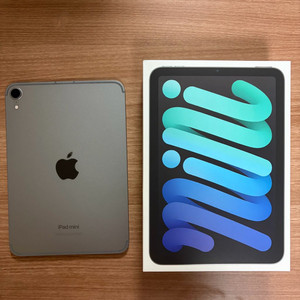 아이패드 미니 7세대(A17 Pro) 512GB 셀룰러 / 스페이스그레이 판매합니다.