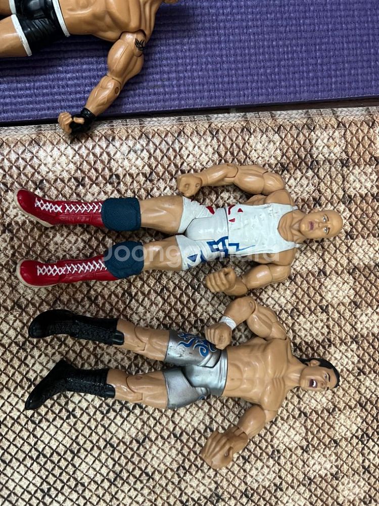 WWE피규어 판매합니다(액피,펀코팝,한정판/미개봉중고)--3