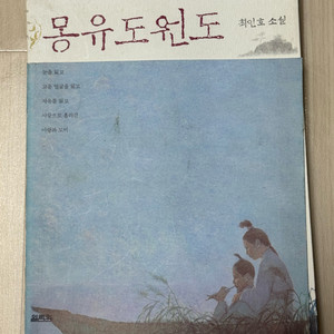 <몽유도원도> 최인호 소설