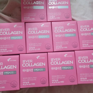 에버.콜라겐 인앤업셀,코큐,비에날.씬