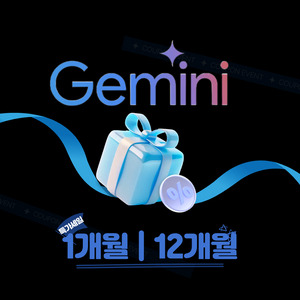 구글 제미나이 프로 3 | Gemini Pro 3 | 1개월 1년 이용권