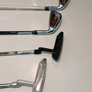 아이언2/퍼터2 골프채 총4개 일괄로 팝니다