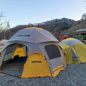 캠프타운 빅돔s+코스모스100 세트 판매 이미지