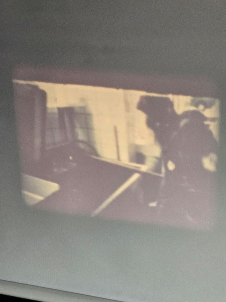 빈티지 (Canon)캐논 P-8 8mm영사기--2