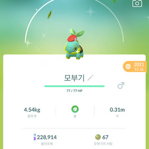 포켓몬고 코스튬