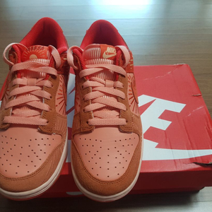 나이키 덩크 로우 동지 우먼 245 판매