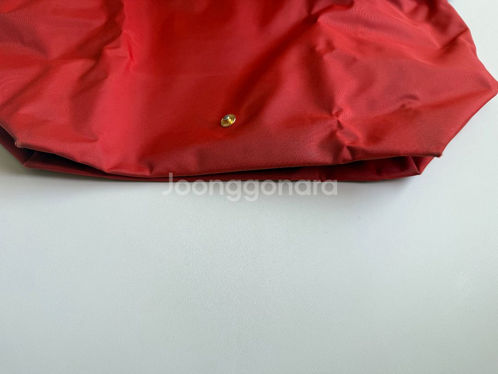 롱샴 르 플리아주 S--6