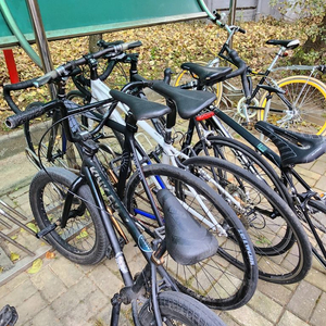 여러가지 자전거 일관 판매