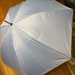 대한항골 신카라인 장우산