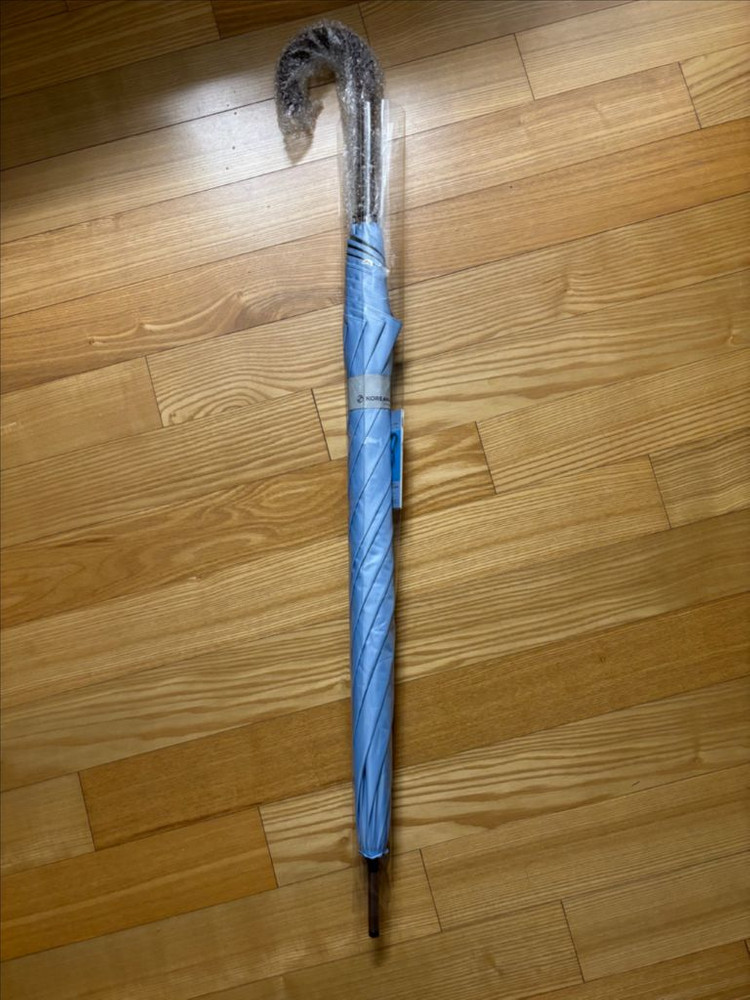 대한항골 신카라인 장우산--1