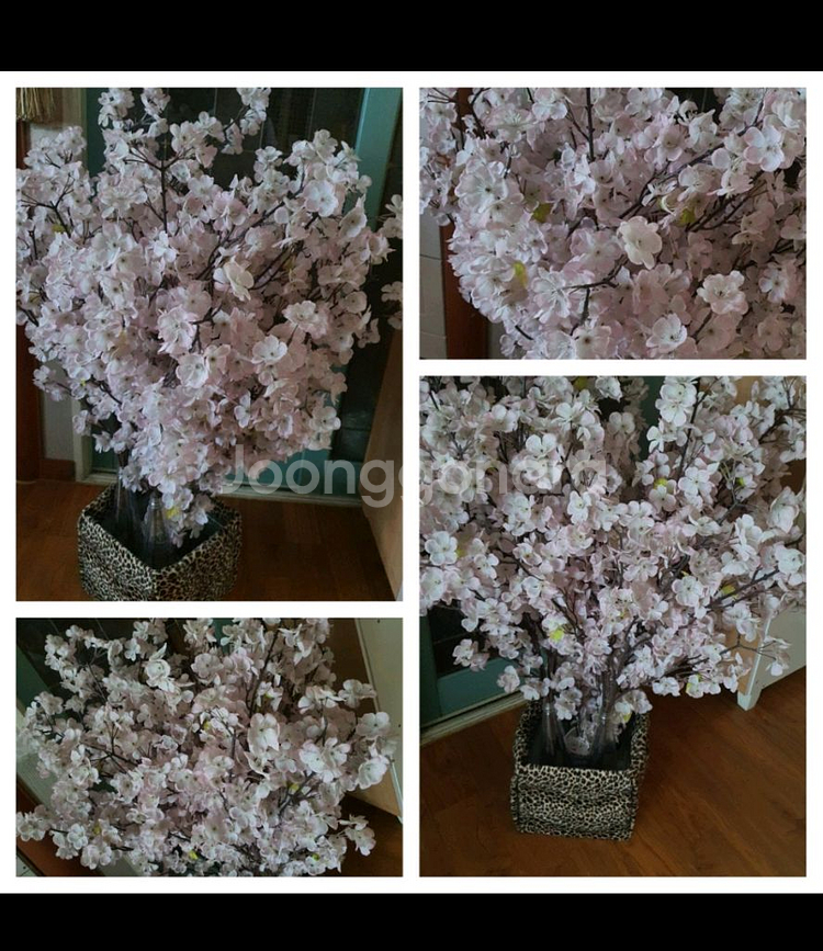 벚꽃조화 예쁘고 실제보면 훨씬더 풍성하고 예쁨 저렴히2만5천원 인테리어굳--0