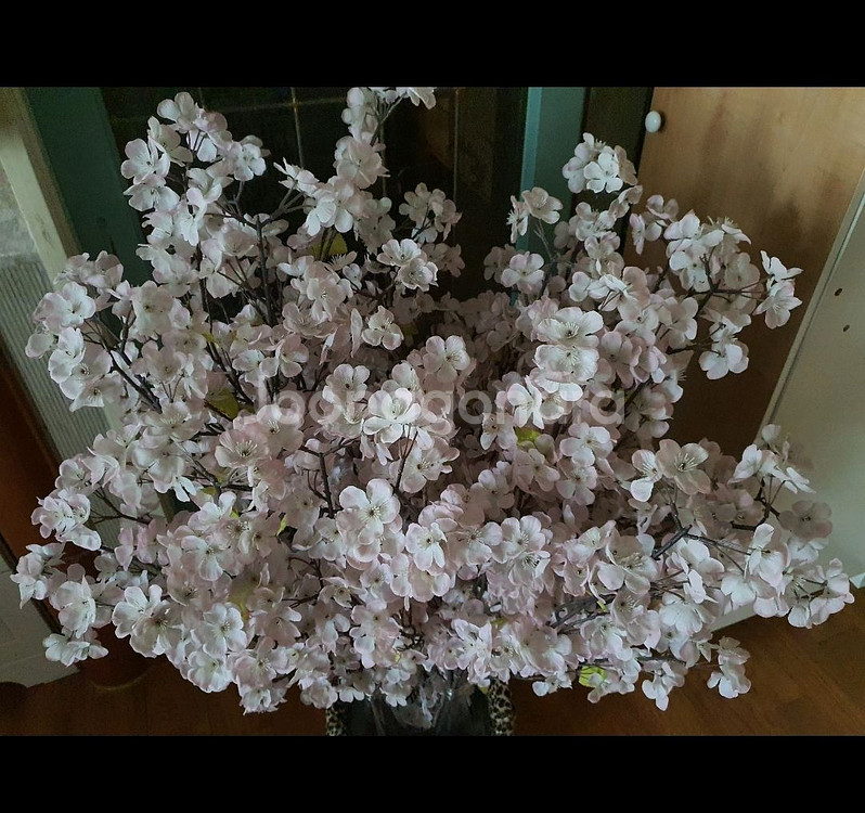 벚꽃조화 예쁘고 실제보면 훨씬더 풍성하고 예쁨 저렴히2만5천원 인테리어굳--5