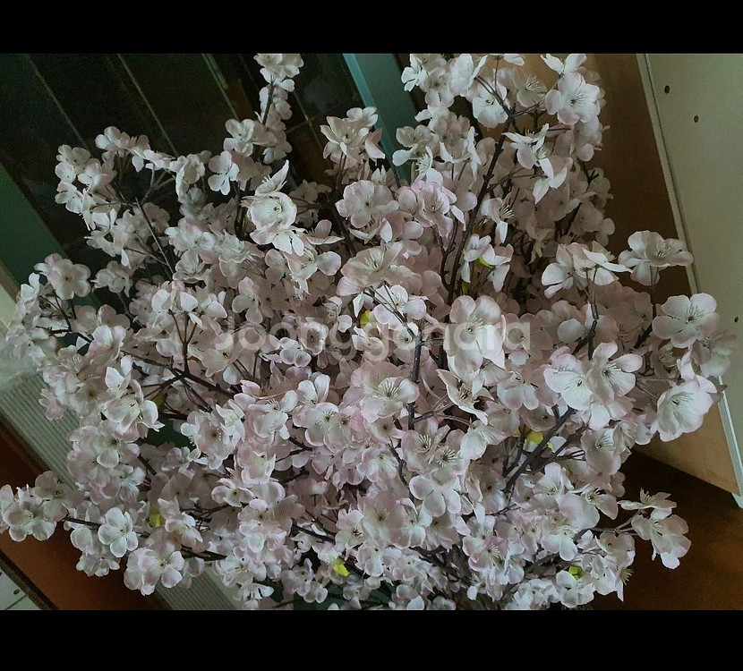 벚꽃조화 예쁘고 실제보면 훨씬더 풍성하고 예쁨 저렴히2만5천원 인테리어굳--6