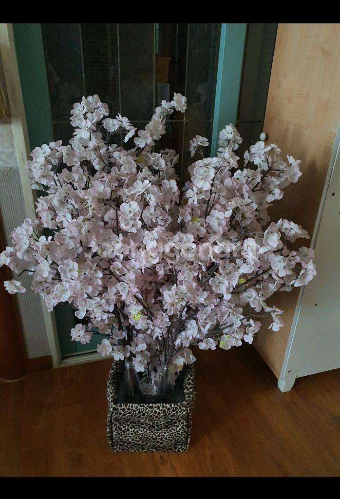 벚꽃조화 예쁘고 실제보면 훨씬더 풍성하고 예쁨 저렴히2만5천원 인테리어굳--8