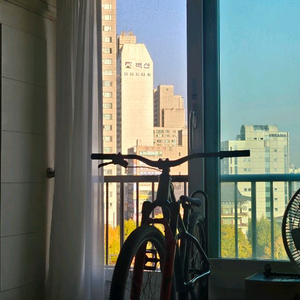 스페셜라이즈드p.3 어반 더트점프 mtb 풀샥