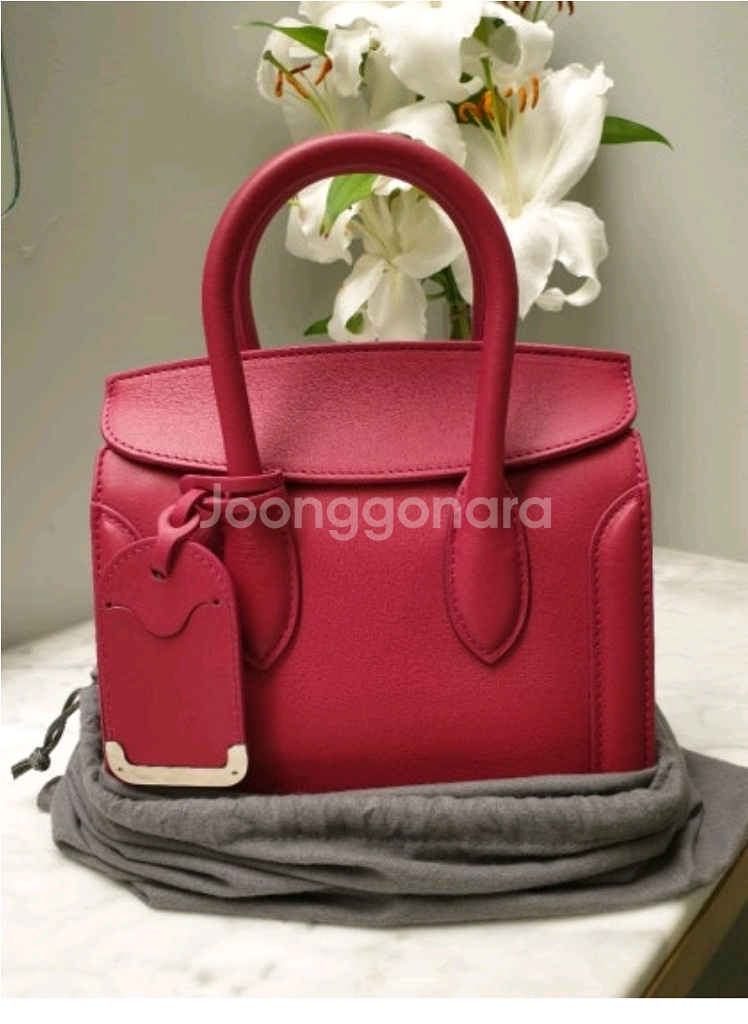 알렉산더맥퀸 미니 토트백--0