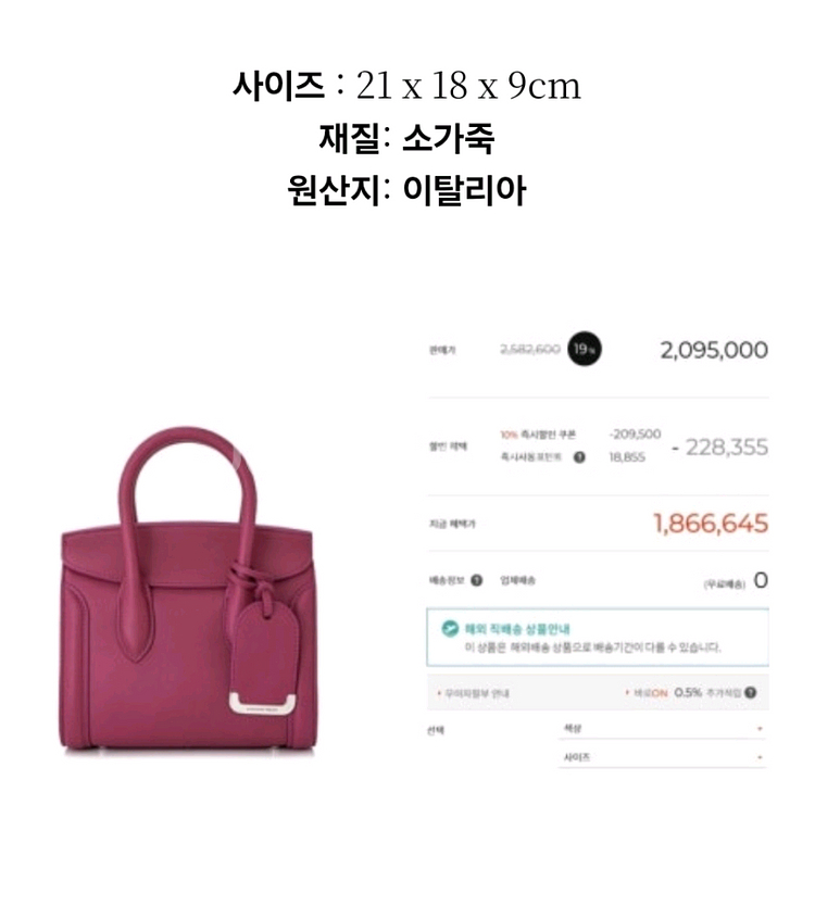 알렉산더맥퀸 미니 토트백--5