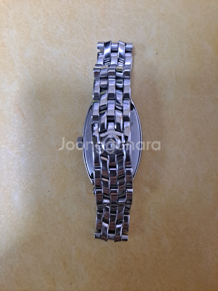 프랭크 뮬러 롱 아일랜드 8000 SC J 여성 시계--1