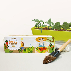 열매친구 투톤텃밭세트 오이 방울토마토 식물기르기 키우기 키트 화분