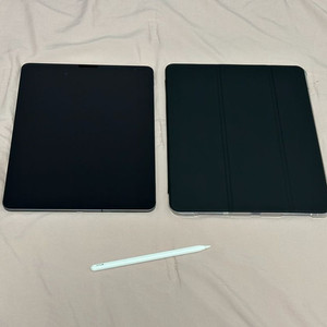 아이패드 프로 12.9 3세대 256기가 셀룰러 펜슬O