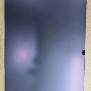 갤럭시탭 s10 ultra wifi 256gb