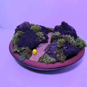 옹기 화분 이끼 화산석 식물 테라리움