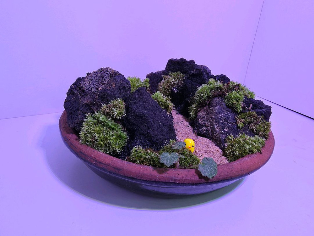 옹기 화분 이끼 화산석 식물 테라리움--1