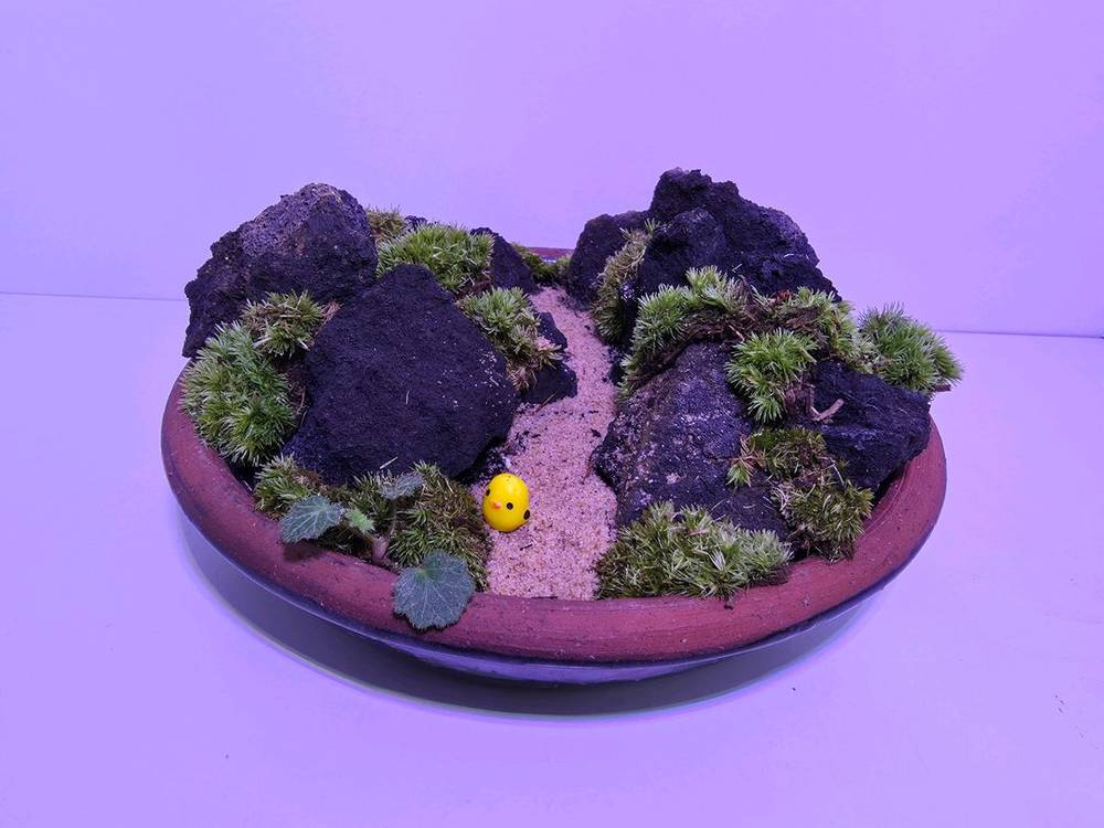 옹기 화분 이끼 화산석 식물 테라리움--2