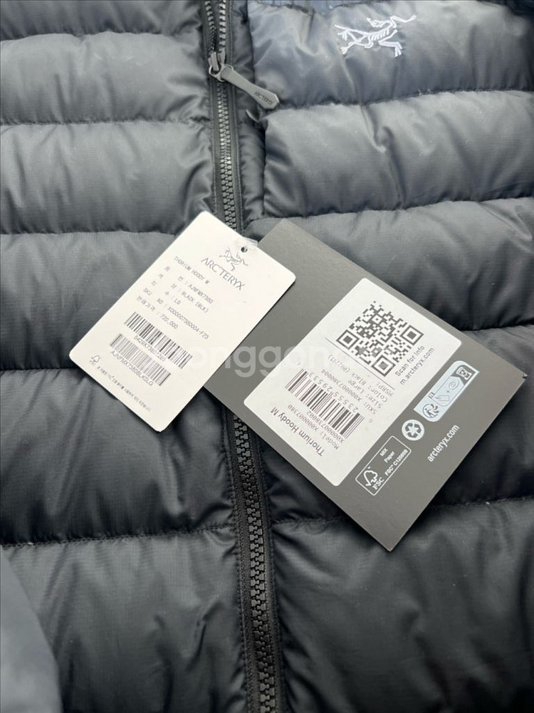 [L] 아크테릭스 토륨후디 블랙--1