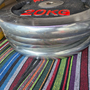 경량 원판 20kg