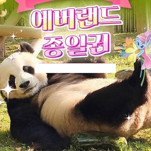 에버랜드 종일 자유이용권 팝니다