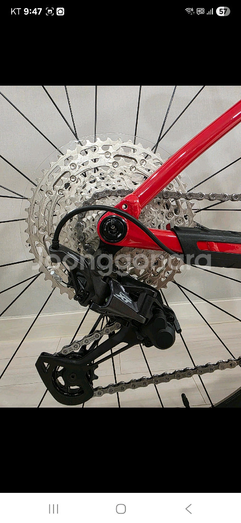 트렉 프로칼리버 6--3