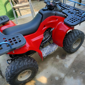 와우 100cc 사바리