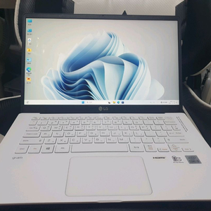 LG그램 노트북 14인치10세대 램16기가 팝니다!!