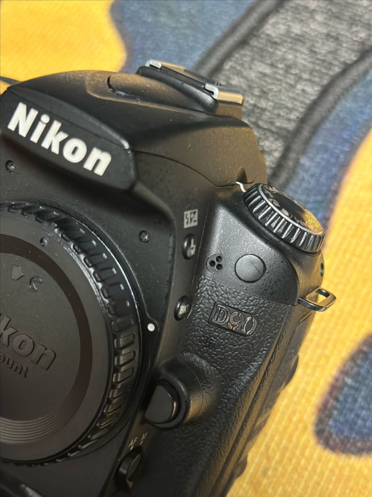 니콘d90 + 시그마 18-125mm 렌즈--1