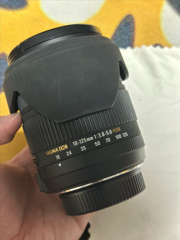 니콘d90 + 시그마 18-125mm 렌즈--2