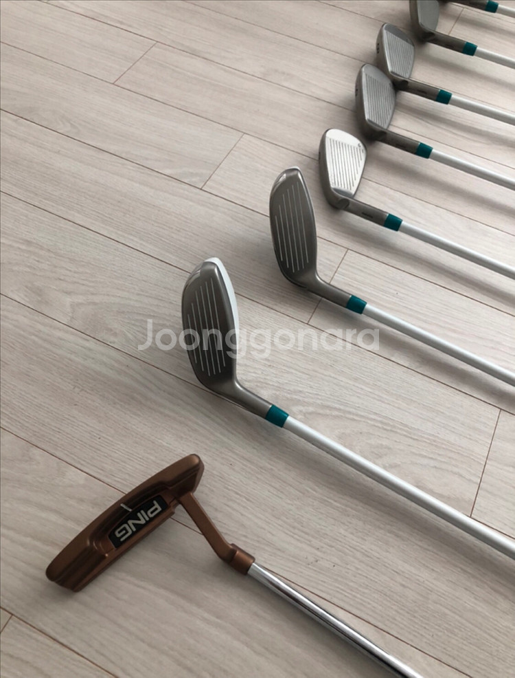 보그너 골프백 풀세트(혼마,핑)새상품--9