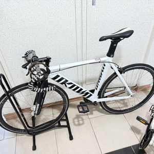 픽시 자전거 M사이즈