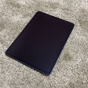 아이패드 에어 4세대 10.9인치 256GB 와이파이