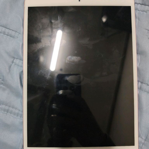 아이패드 프로 10.5세대 256GB 셀룰러