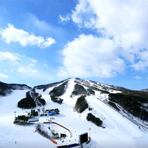 웰리힐리파크 리조트 27평