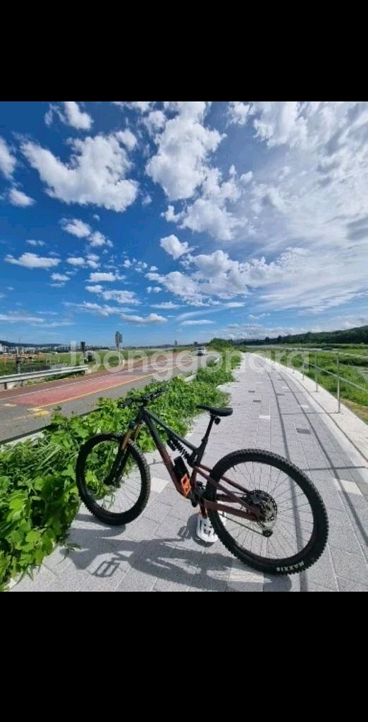 록키마운틴 알티튜드 알로이 70--8