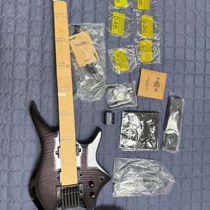 헥스 N700 헤드리스 일렉기타