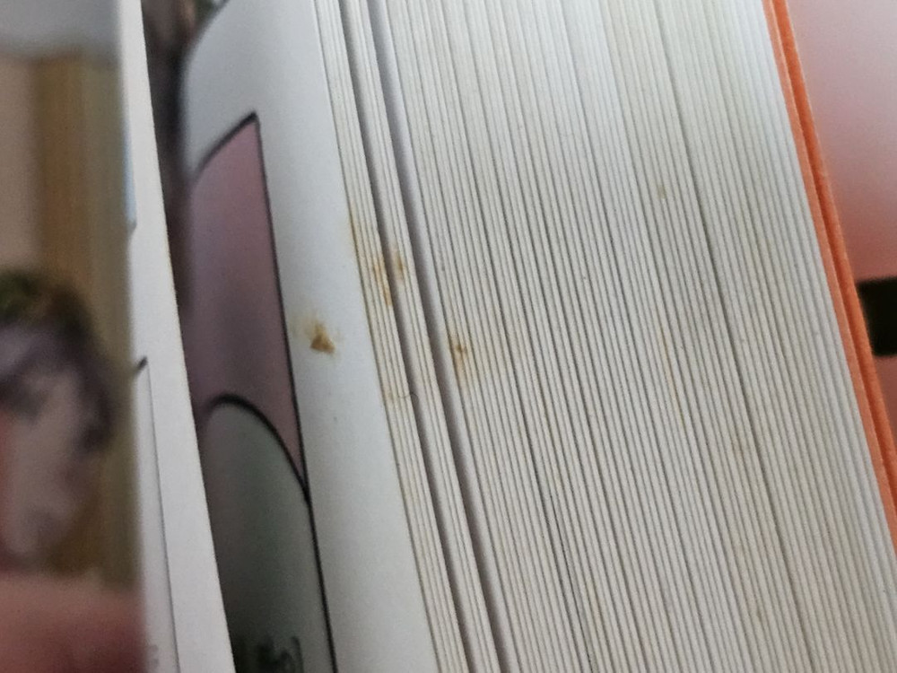 홍은영그림 만화로 보는 그리스 로마 신화 20권 전권 올림포스가디언--7