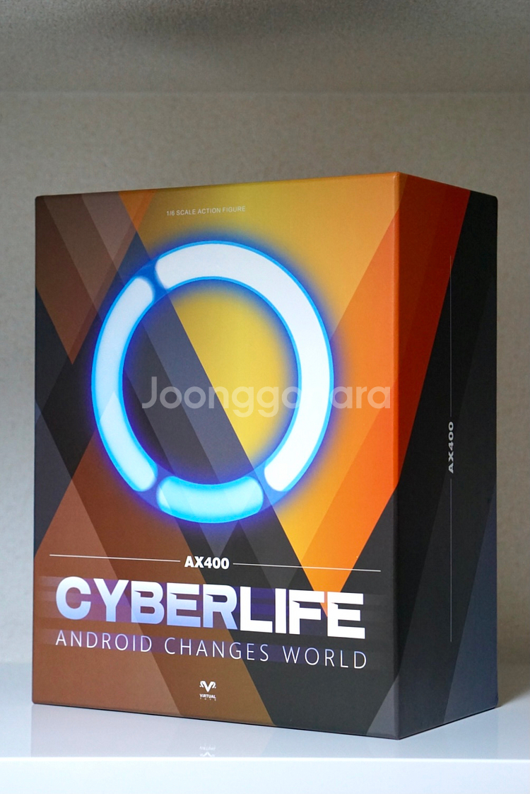 1/6 디트로이트 비컴 휴먼 카라 VTS TOYS VM-031 CYBERLIFE--1