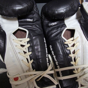 아디쇼리 16온스 레이스