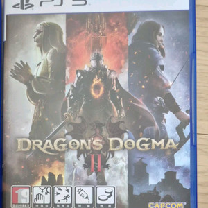 PS5 드래곤즈 도그마2