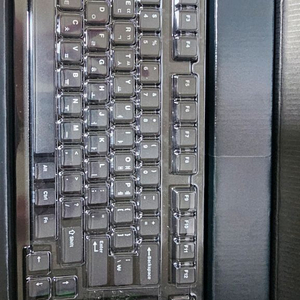 레오폴드 FC980M PD 갈축 이미지