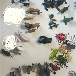 슐라이히 12종 콜렉타3종 등 일괄