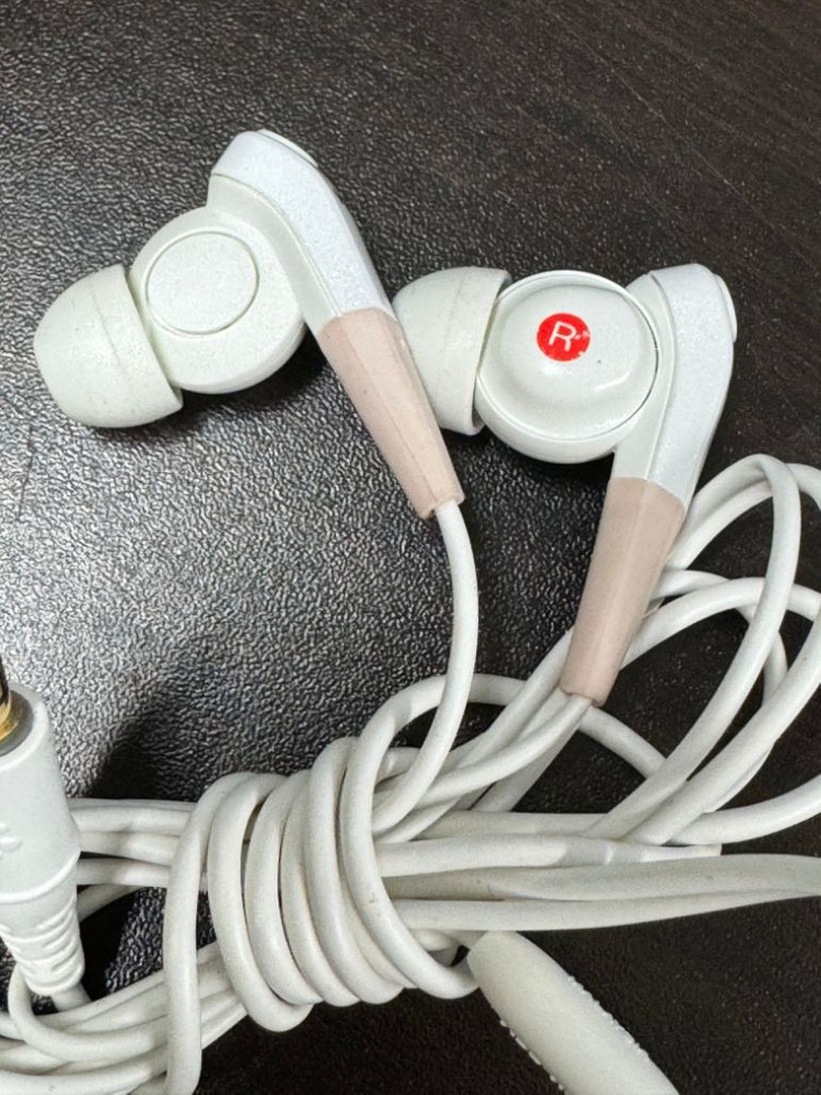 소니 워크맨 노이즈캔슬링 이어폰 MDR-NC033--1